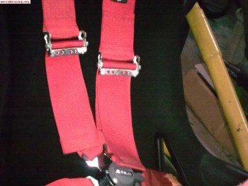 Arnes de 5 puntos (2011)