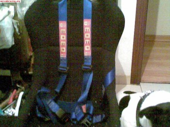 Baquet momo corse nuevo