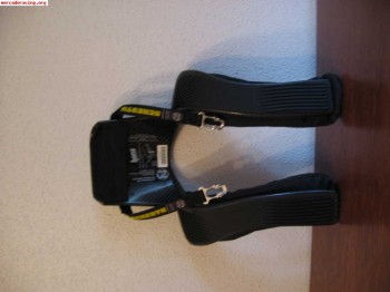 Hans schroth carbono nuevo