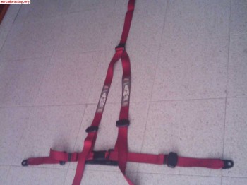 Arneses rojos de 3 puntos