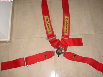 Compro arnes caducado ancho 3 ´ de 4 o 6 puntos.