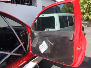 Paneles de puerta carbono 206 