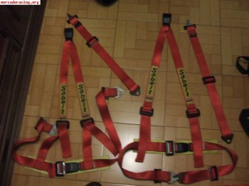 Arnes sabelt 3 puntos rojos anchos la pareja 80€