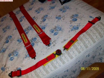 Vendo pareja de armeses de cuatro puntos