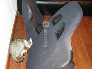 Se vende pareja de semibaquets replica sparco torino