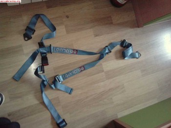 Arnes sparco azul, y 2 sabelt rojo 30€ 