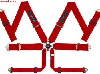 Arnesses willans, arnesses utilizados por barwn gp en sus mo