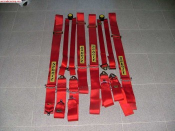 Arneses sabelt 6 puntos