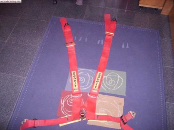 Arneses caducados pero baratos