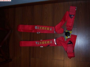 Vendo o cambio arneses momo