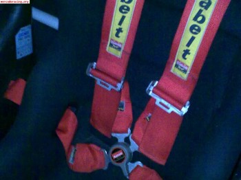 Se vende arnes sabelt ancho