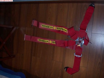 Vendo o cambio arnenes momo