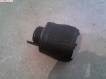 Piña para 106 fase 1