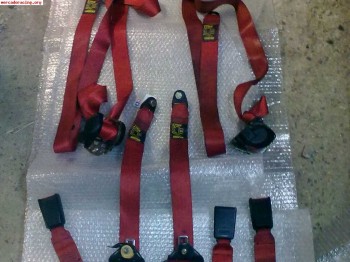 Vendo cinturones de cinquecento sporting