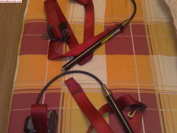 Cintos rojos golf 3 20 aniversario