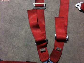 Vendo arneses caducados