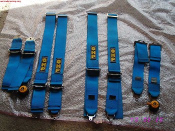 Vendo  3 arnes  caducados