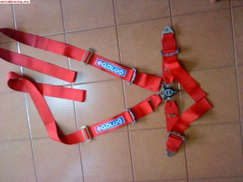 Busco arneses 4 puntos 