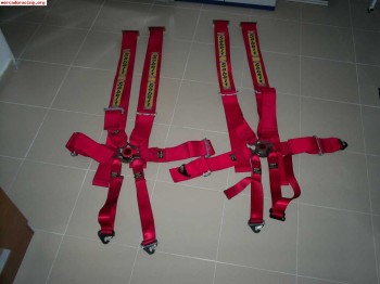 Pareja arneses 6 ptos 150€