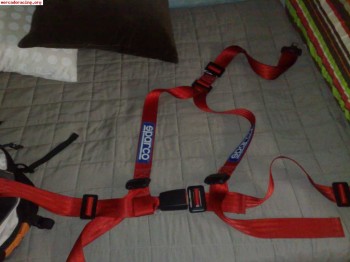 Arnes 3 puntos sparco homologado calle