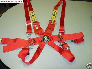 Rehomologacion de bakets y arneses