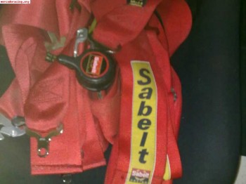 Se venden arneses savelt homologados 
