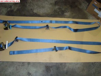 R5 gt turbo cinturones azules