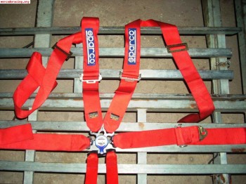 Arnes de 6 puntos caducado