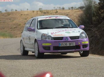 Paneles de puerta y paneles traseros clio sport fase 1