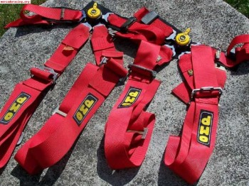 Se venden arneses anchos 