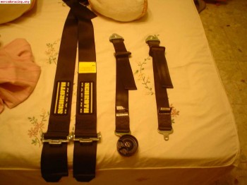 Se vende arnes schroth de 4 puntos 