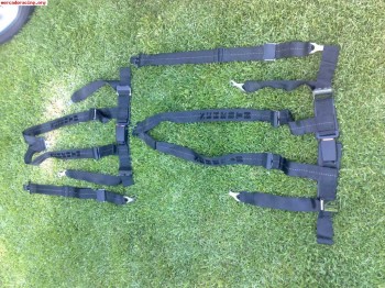 Arneses schroth 70€