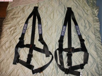 Arnes sparco de 3 puntos