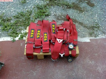 Arnenses anchos caducados