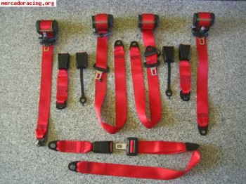 Compro cinturones rojos