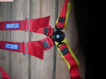 Se vendes dos juegos de arneses