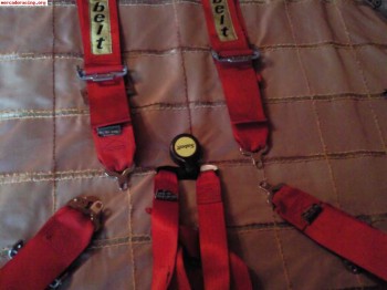 Se venden arneses de 6p