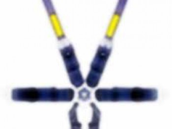 Arnes schroth 6 puntos