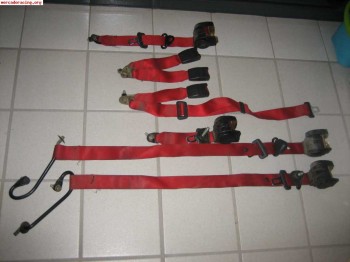 Juego de cinturones rojos