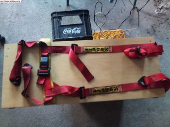 Vendo 2 arneses sabelt