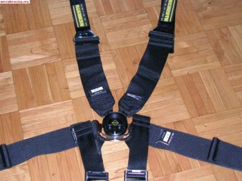 Arnes schroth 6 puntos homologado