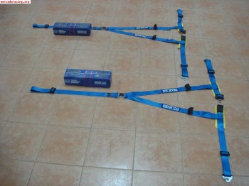 Pareja de arneses de 3 puntos por 100 euros