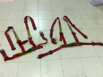 Pareja de arneses 4 puntos rojos