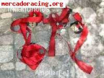 Cinturones rojos r5 gt turbo