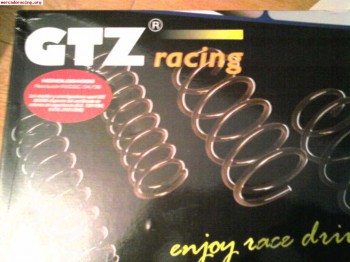 Volante omp y muelles para saxo vts