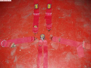 Arneses anchos omp 6 puntos 100€