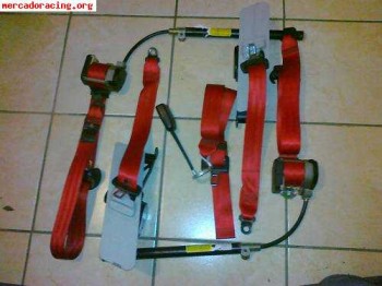 Cintos rojos varias marcas.