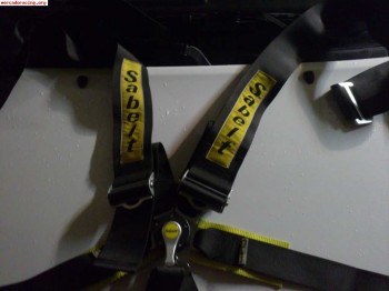 2 arneses sabelt 6 puntos negros