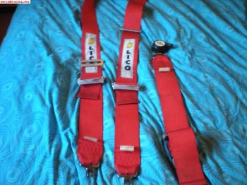 Se venden arneses uno sparco azul y otro lico rojo