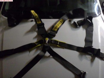 2 arneses sabelt 6 puntos negros